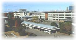 ���N��w�Z�EKorea University